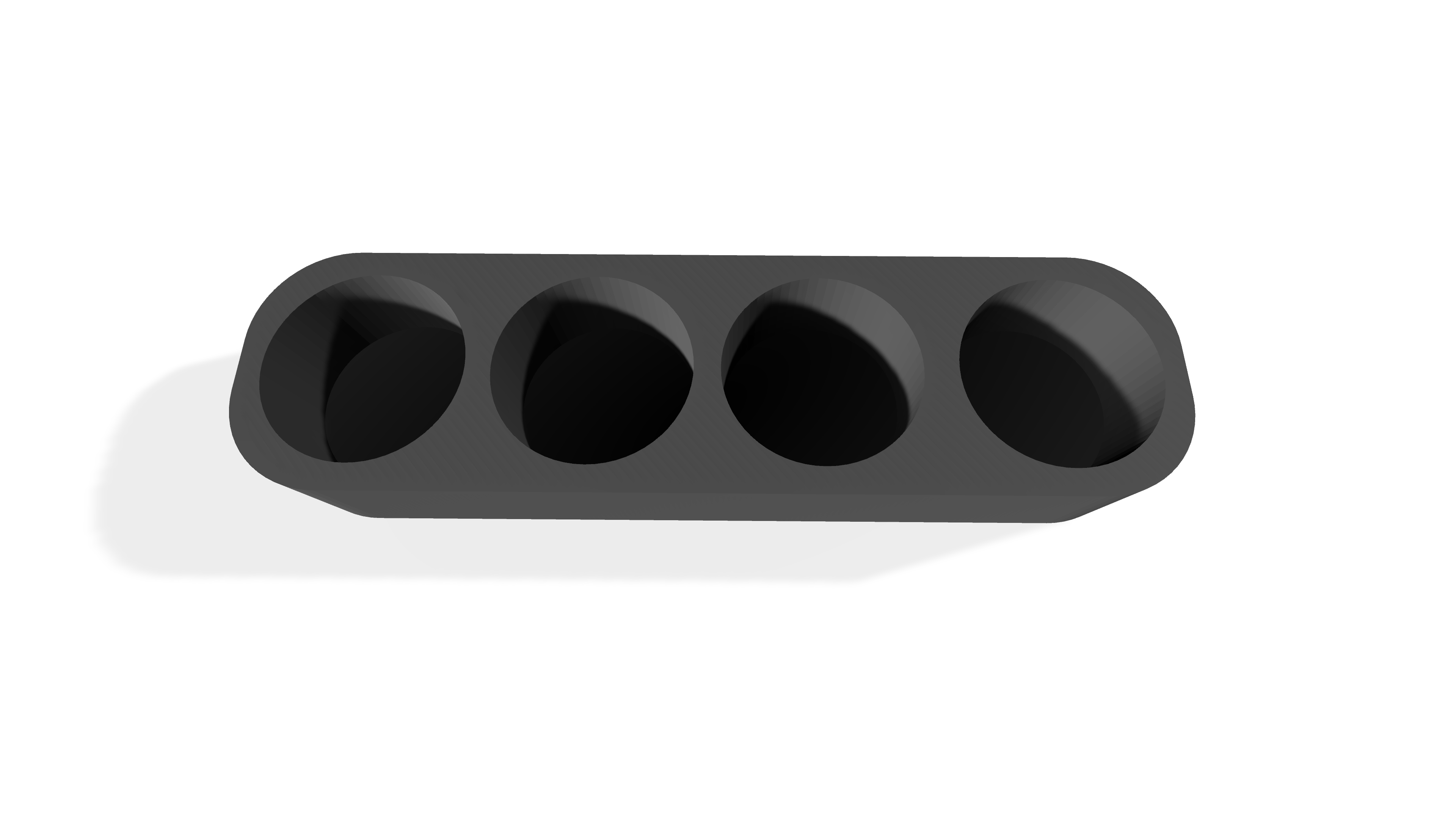 Essential Oils x4 Bottle Holder